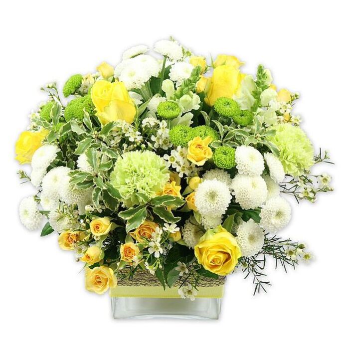 A generous, rounded bouquet composed of sunny yellows, crisp whites, and vivid greens sits in a low, clear square glass vase, its colours heightened by a simple white background. Dominating the centre are classic yellow roses, their velvety petals opening in concentric rings that invite the eye to linger. Interwoven are smaller yellow spray roses, each stem carrying several miniature blooms that add both texture and a sense of joyous abundance. Nestled among the roses are white pompom chrysanthemums, their tightly packed, dome-shaped flowers creating a plush contrast to the more open petals around them. Bright lime green button chrysanthemums act as playful accents, their small, globe-shaped heads bringing energetic pops of colour to the design. Larger, softly ruffled pale green blooms, reminiscent of frilly carnations or decorative green chrysanthemums, contribute volume and a gentle, feathery feel that gives the bouquet its rich, layered look. Surrounding the flowers, a thoughtful mix of greenery includes glossy deep green leaves, more delicate filler foliage, and distinctive variegated leaves edged in soft white. Tiny, star-like white filler flowers are dotted throughout, adding a sparkling lightness that keeps the arrangement from feeling heavy. The stems are visible through the transparent vase, giving the piece a contemporary edge, while the midsection of the vase is encircled with a rustic wrap of woven natural fibre or bark, overlaid by a band of lime or pale yellow ribbon tied neatly around the centre. This marriage of natural texture and bright florals feels perfectly at home in Yiewsley-imagine it as a centerpiece on a dining table in a flat off Falling Lane, a bright welcome in a hallway near Yiewsley Recreation Ground, or a thoughtful congratulations gift arriving via same-day local delivery, bringing a touch of springtime joy indoors.